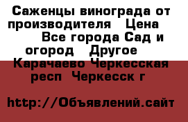 Саженцы винограда от производителя › Цена ­ 800 - Все города Сад и огород » Другое   . Карачаево-Черкесская респ.,Черкесск г.